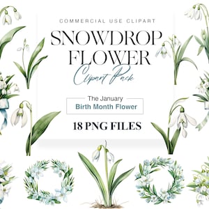 Clipart di bucaneve, clipart di matrimonio floreale Boho, fiore del mese di nascita, bouquet primaverile, ghirlanda, PNG floreale