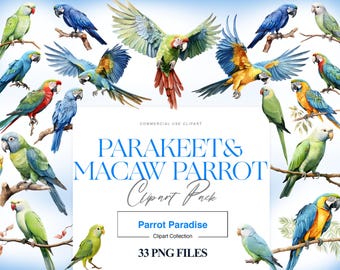モモイロインコ、テンニョインコの絵画セット 【公式通販】