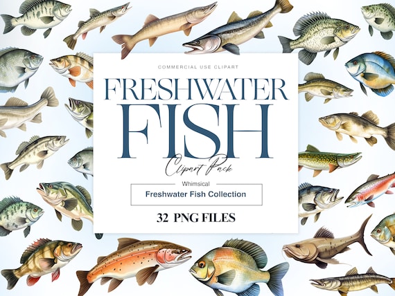 Freshwater Fish Clipart, Bass Fish PNG, Trout Clipart, Watercolor Fishes, Catfish, Art Print, Gone Fishing