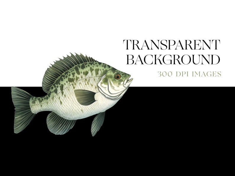 May include: A detailed illustration of a green and white fish with black spots. The fish is facing right and has a large mouth. The background is transparent.