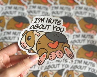 Vinyl Sticker with a cute guinea pig "I'm nuts about you" | Guinea Pig Vinyl Sticker | Glossy Finish | Laptop sticker | bottle sticker