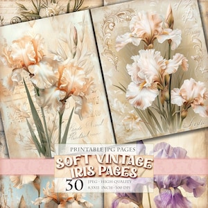 Könnte beinhalten: Ein Set mit 30 druckbaren digitalen Papierseiten mit Vintage-Illustrationen von zarten, weißen Irisblüten. Die Seiten sind 21,6 x 27,9 cm groß und haben eine Auflösung von 300 DPI.