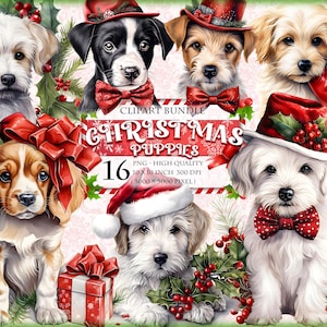 Chiots de Noël, lot de cliparts aquarelle chiot mignon, 16 HQ imprimable, format PNG Transparent, sublimation, téléchargement immédiat