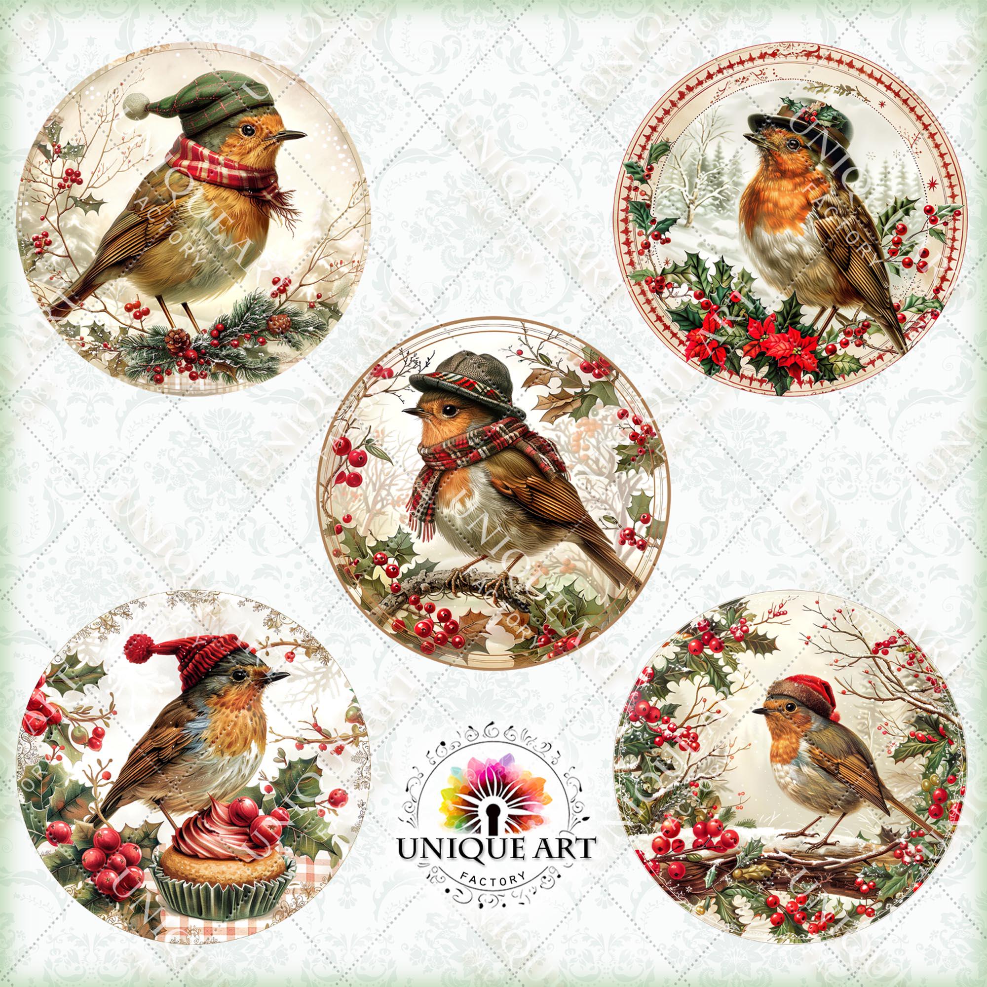 Christmas Robin Bird - Round Clipart Bundle, Printable 16 PNG Image ...