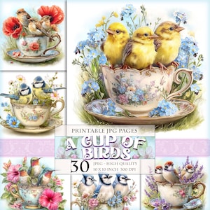 A Cup Of Birds, Floral Clipart Set, Printable 30 JPG image, Shabby Chic Tea Party Graphics Junk Journal Scrapbook Ephemera, Digital Download