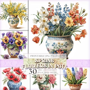 Könnte beinhalten: Ein Satz von 30 druckbaren JPG-Seiten mit Frühlingsblumen in Töpfen. Die Bilder sind von hoher Qualität, 25,4 cm x 25,4 cm und 300 DPI. Die Blumen umfassen Stiefmütterchen, Narzissen, Hyazinthen, Mohnblumen und Pfingstrosen.