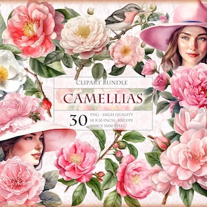 Camélias - lot de cliparts aquarelle sur le thème fleur de camélia, format PNG imprimable HQ 30, sublimation transparente, téléchargement immédiat