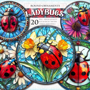 Könnte beinhalten: Eine Sammlung runder Ornamente mit Marienkäfer- und Blumendesigns. Die Marienkäfer sind rot mit schwarzen Punkten, vor Hintergründen aus Buntglas in Blau, Weiß und Gelb. Der Text "LADYBUGS" wird über den Ornamenten angezeigt.