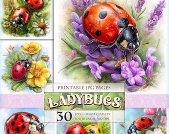 Ladybugs Clipart Bundle, Printable 30 JPEG image, Floral Spring Meadow Grass, Cute Beetle Graphics Botanical Illustrations, Digital Download