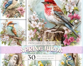 Spring Birds, Forest Landscape,  Printable 30 JPG image, Junk Journal Clipart Ephemera Pages Postcard Wall Art Poster, instant download.