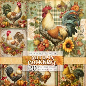 Kogut jesienny, dynia i kwiat, do wydrukowania 20 obrazów w formacie JPG, jesienny krajobraz, kogut, pisklę, clipart, dziennik, ulotne materiały do decoupage'u, natychmiastowe pobranie.