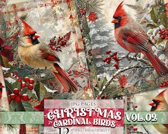 Christmas Cardinal Bird Vol.02, Winter View Junk Journal Pages, 12 JPG - 8,5X11 inch, Instant download and printable, Digital collage sheet
