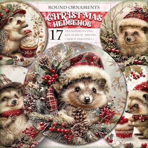 Ouriço de Natal, enfeites redondos, presente de Natal, aquarela, clipart, pacote para impressão, 17 imagens de sinal de guirlandas de cabide de porta PNG HQ, download instantâneo.