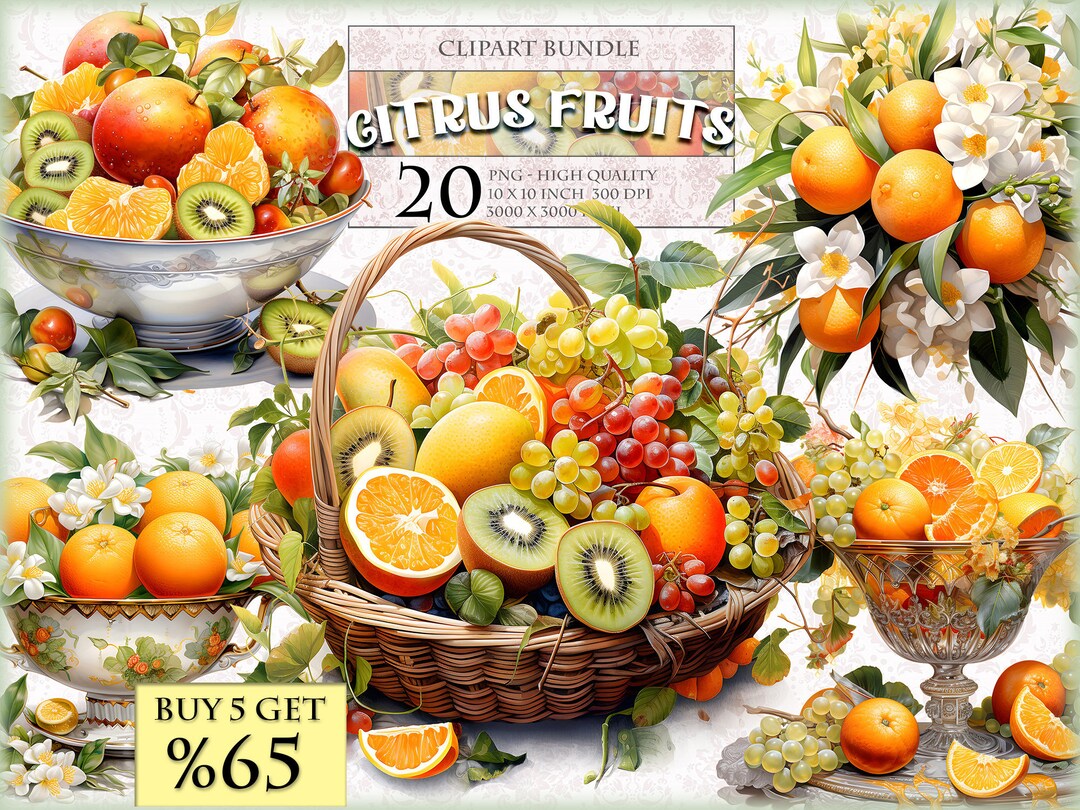Citrus Fruits, Watercolor Clipart Bundle, 20 HQ Printable Image ...