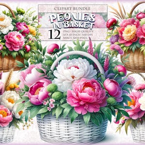 Pfingstrosen im Korb, Pfingstrosen Blume Aquarell Clipart Bundle, 12 qqm druckbare Bild, transparentes PNG-Format, sofortiger Download