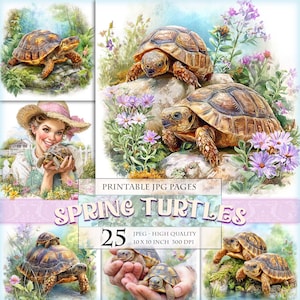 Puede incluir: Una colección de imágenes de acuarela con tortugas en un entorno primaveral. Las imágenes incluyen tortugas en entornos naturales, con flores y vegetación. Se muestra el texto "SPRING TURTLES", junto con "25" y las especificaciones de la imagen.