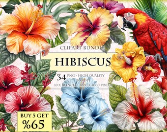 Hibiscus, Tropical Flowers, Watercolor Clipart Bundle, HQ Printable, PNG format, instant download