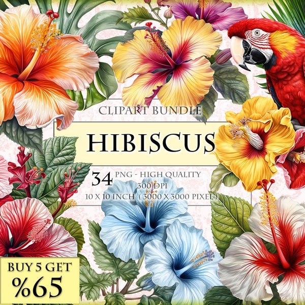 Hibiscus, fleurs tropicales, lot de cliparts aquarelle, imprimable HQ, format PNG, téléchargement immédiat