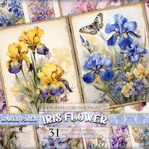 Peut inclure: Une feuille de collage numérique avec 31 images de fleurs d'iris dans différentes couleurs, notamment le violet, le bleu, le jaune et le blanc. Les images sont de haute qualité et parfaites pour les projets d'artisanat.