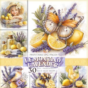 Citron et lavande, image imprimable HQ 30 JPG, clipart fruit floral printanier, pages folio de journal indésirable, éphémères de scrapbooking, téléchargement immédiat.