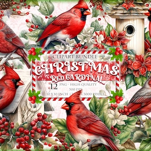 Pássaros cardeais vermelhos de Natal, pacote de clipart em aquarela, 12 HQ para impressão, formato PNG, download instantâneo