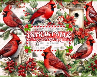 Christmas Red Cardinal Birds, Watercolor Clipart Bundle, 12 HQ Printable, PNG format, instant download