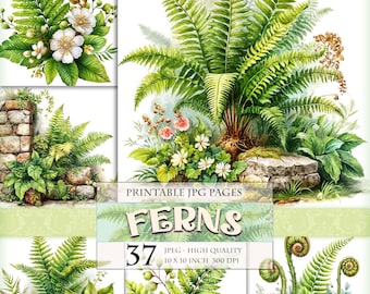 Ferns and Woodland Scenery Digital Watercolor Illustrations for Junk Journals and Nature Inspired Crafts 37 High Quality Printable JPG Pages