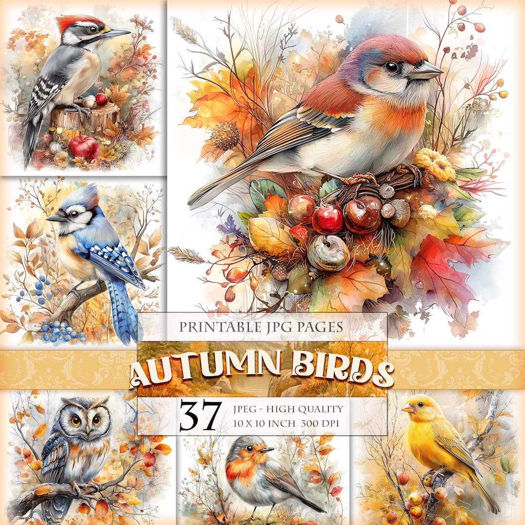 Autumn Birds Clipart, Fall Animals, Printable Journal Ephemera (digital ...