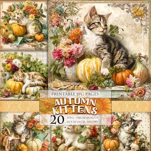 Kocięta z jesiennych zbiorów, dynia i kwiat, do wydrukowania 20 obrazów w formacie JPG, jesienny krajobraz, clipart z kotem, dziennik, ulotne materiały do decoupage'u, natychmiastowe pobranie.