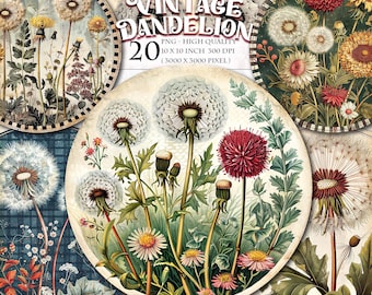 Vintage Dandelion Round Clipart, 20 PNG Botanical Wildflower Circles for Junk Journal Digital Ephemera and Floral Sublimation Design