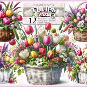 Tulpen im Korb, Aquarell Clipart Bundle, 12 hochwertige druckbare Bilder, transparente PNG-Format, Sublimation, sofortiger Download.