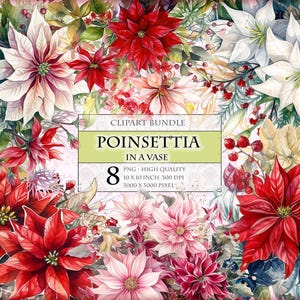 Fiori di Poinsettia in un vaso, fiori di Poinsettia, pacchetto di clipart ad acquerello 8HQ, invito in formato PNG stampabile, download immediato, sublimazione