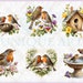 Floral Red Robinbreast, Watercolor Clipart Bundle, 18 HQ Printable ...