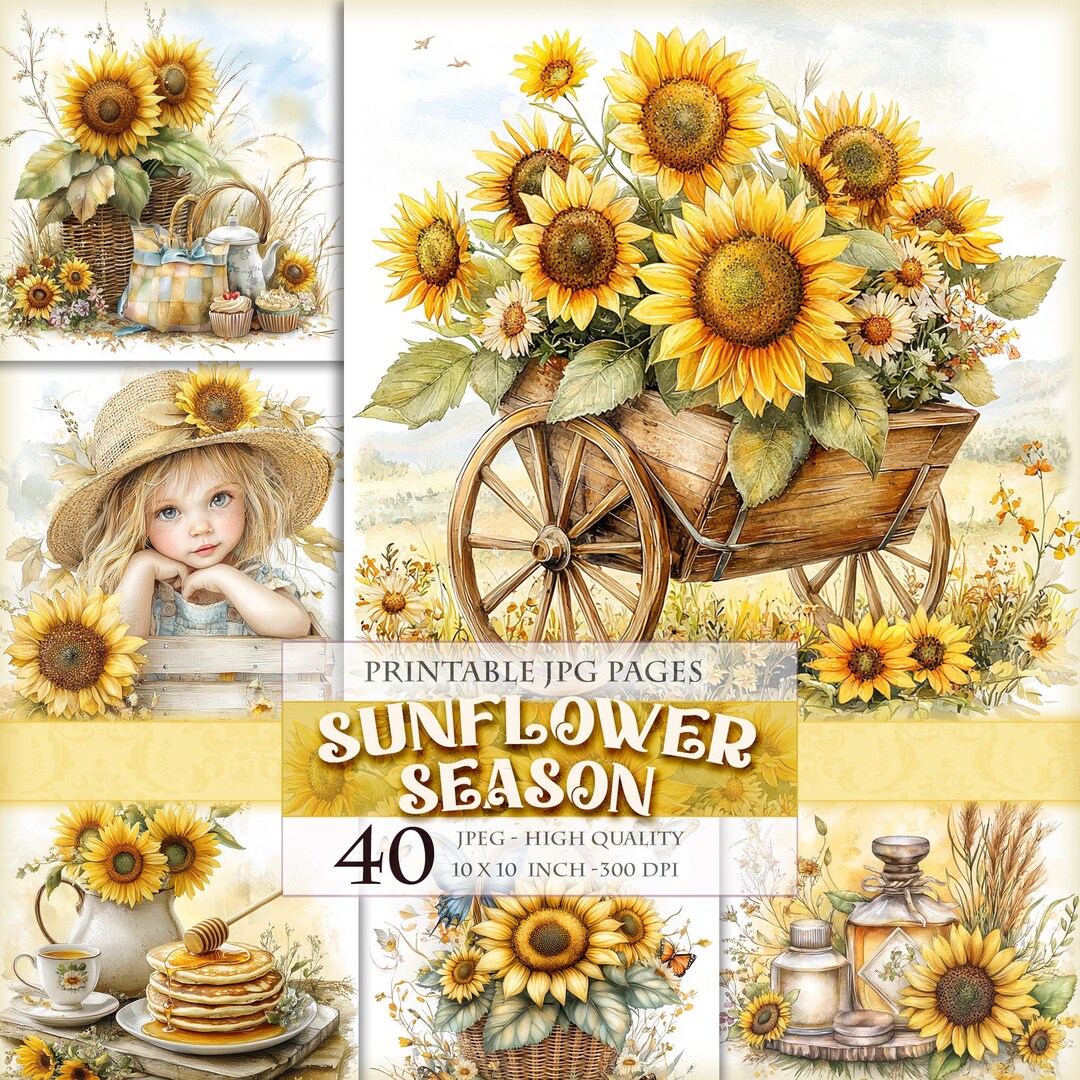 Picture with sunflowers-ひまわり sunflower with sunrise by omar hassan Wall Art
