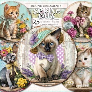 May include: Round ornaments featuring adorable cat illustrations. Each cat is adorned with bows and floral accents, set against a backdrop of flowers and rustic wood. The text "SPRING CATS" is displayed at the top, with details about the image size and quality.