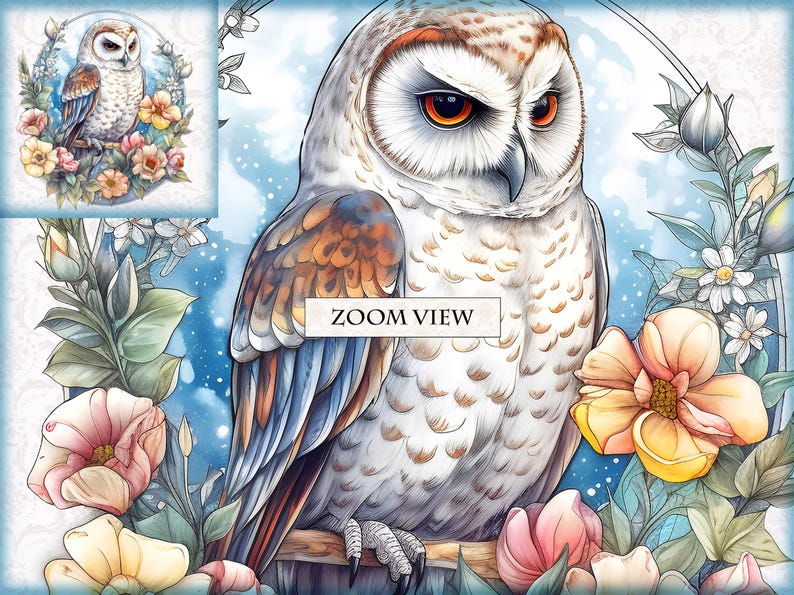 Washed Owl Owl and Ornate Flowers - Watercolor Clipart Bundle - HQ Printable PNG ...