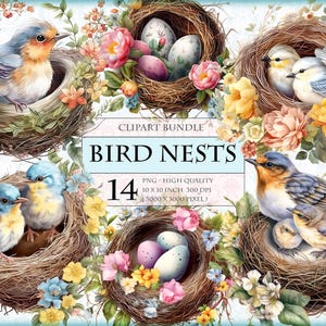 Nids d'oiseaux et fleurs - lot de cliparts aquarelle - 14 HQ format PNG imprimable, sublimation transparente, image numérique, téléchargement immédiat.