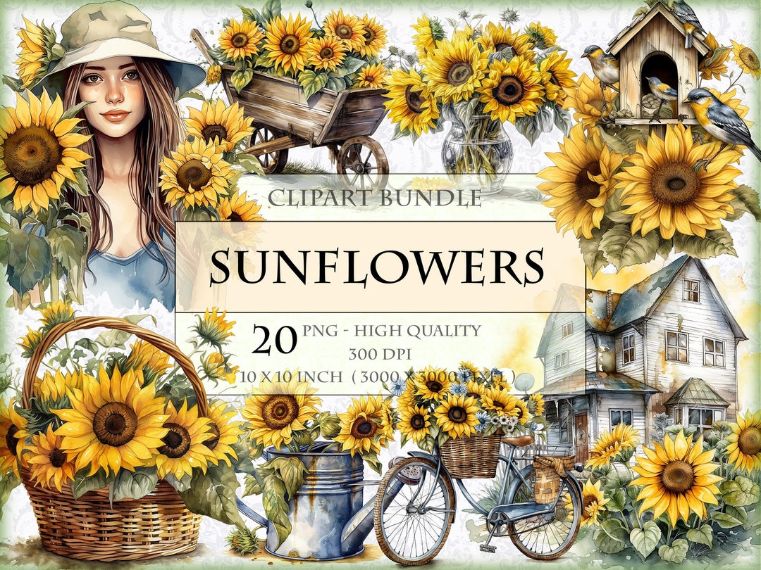 Sunflowers Watercolor Clipart Bundle HQ Printable PNG Format Instant ...