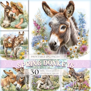 May include: A set of digital prints showcasing donkeys in a spring theme. The artwork includes donkeys surrounded by flowers, a child interacting with a donkey, and donkeys with lambs. The text "SPRING DONKEYS" is visible.