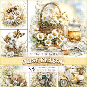 Saison des marguerites, fleurs de printemps, clipart floral, image imprimable HQ 33 JPG, pages folio de journal indésirable, éphémères de scrapbooking, téléchargement immédiat.