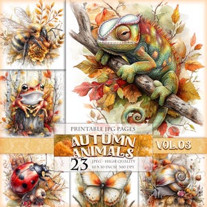 Animais de Outono Vol.03, Clipart de Outono, 23 imagens HQ JPG para impressão, Arte Digital, diário de recortes, itens efêmeros, decoupage, cartão postal para download instantâneo.