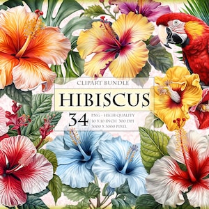 Hibiskus, tropische Blumen, Aquarell Clipart Bundle, 34 JPG Druckbare PNG-Format, transparent, Sublimation, Scrapbook sofort-Download