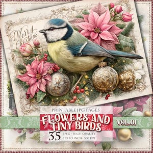 Może przedstawiać: Cyfrowy wydruk artystyczny przedstawiający niebiesko-żółtego ptaka siedzącego wśród różowych gwiazd betlejemskich, ozdób choinkowych i jagód. Widoczne są słowa "Merry Christmas". Wydruk zawiera również tekst "FLOWERS AND TINY BIRDS VOL.01" oraz "35 JPEG - WYSOKA JAKOŚĆ 27,9 x 21,6 cm - 300 DPI".