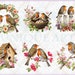 Floral Red Robinbreast, Watercolor Clipart Bundle, 18 HQ Printable ...