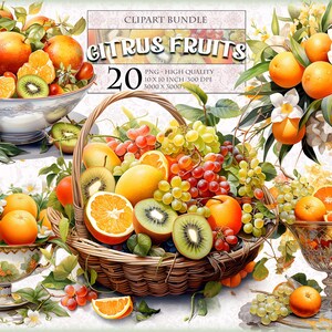 Frutas cítricas, paquete de imágenes prediseñadas de acuarela, 20 imágenes imprimibles de alta calidad, PNG transparente, álbum de recortes, imagen digital de sublimación, descarga instantánea.