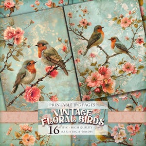 Pájaros florales vintage, imagen JPG de 16 HQ imprimible, páginas de álbum de recortes de acuarela, cubierta de diario basura, papel efímero, decoupage, descarga instantánea.