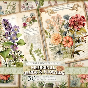 Hierbas y flores medicinales, imagen JPG 30 HQ imprimible, páginas de diario basura, hojas de collage de álbumes de recortes, efímeras, suministros para manualidades, descarga instantánea.
