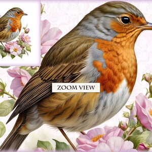 Floral Red Robinbreast, Watercolor Clipart Bundle, 18 HQ Printable ...