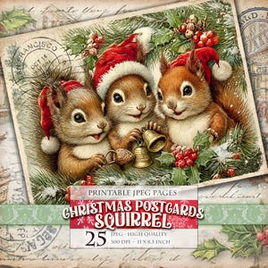May include: A vintage Christmas postcard showing three squirrels in Santa hats, surrounded by holly and berries, holding bells. The postcard includes the text "CHRISTMAS POSTCARDS SQUIRREL" and "25" with the dimensions 27.94 x 21.59 cm.
