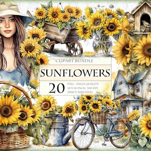 Bundle de cliparts aquarelle tournesols - téléchargement immédiat au format PNG imprimable HQ